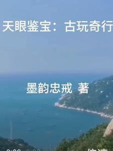 天眼鉴宝:古玩奇行